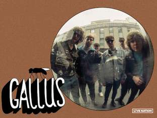 Bilety na wydarzenie Gallus Gallus - bilety